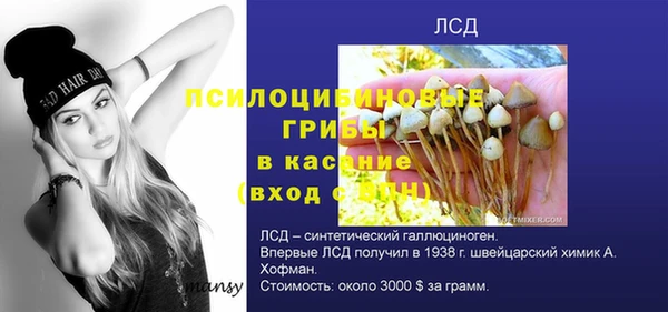 мескалин Заводоуковск