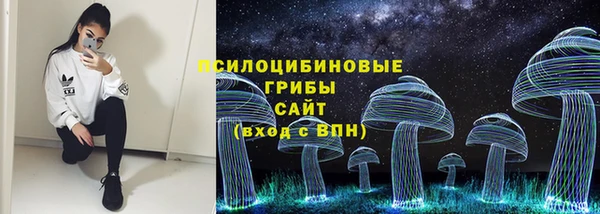 a pvp Алзамай