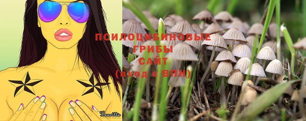 прущая мука Алексеевка