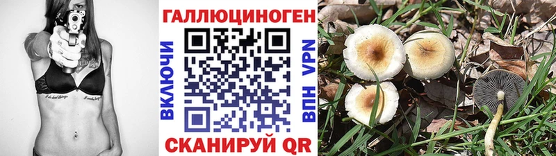 Галлюциногенные грибы GOLDEN TEACHER  наркота  Ставрополь 